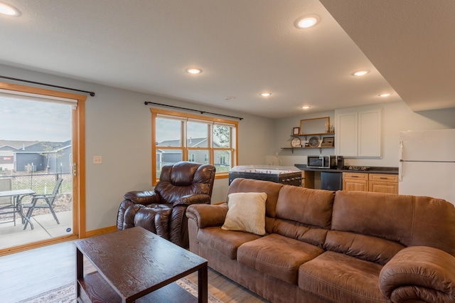 104 Sylla St, River Falls, WI 54022 - living area with wood finished floors, recessed lighting, and bar