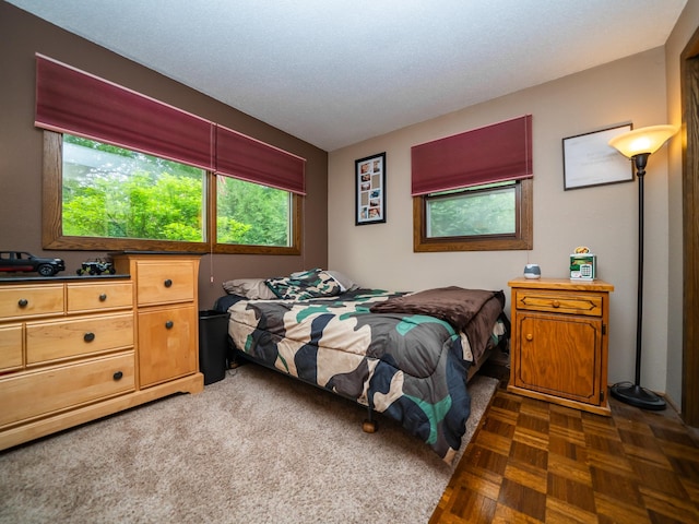 8585 Ilex Pl NW, Rice, MN 56367 - view of bedroom