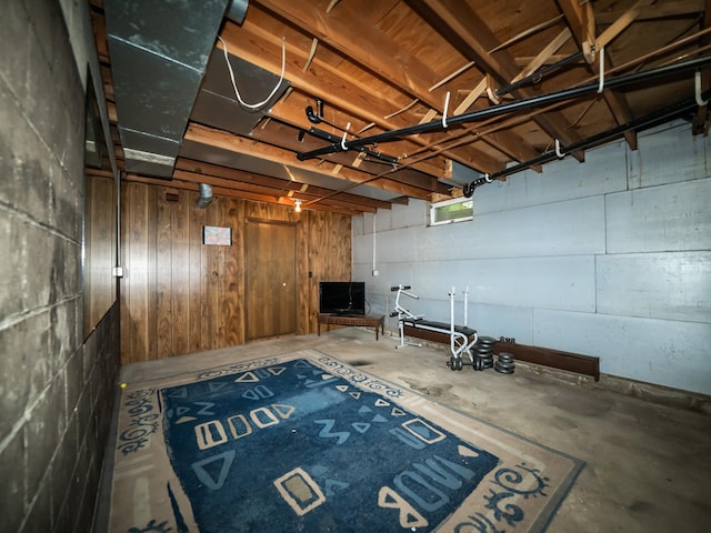 8585 Ilex Pl NW, Rice, MN 56367 - below grade area featuring wooden walls