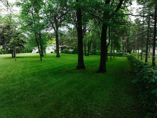 8585 Ilex Pl NW, Rice, MN 56367 - view of green lawn