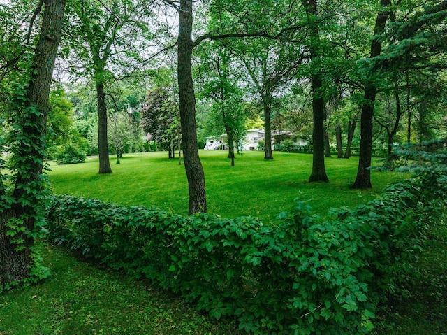 8585 Ilex Pl NW, Rice, MN 56367 - view of green lawn
