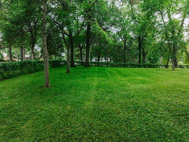 8585 Ilex Pl NW, Rice, MN 56367 - view of green lawn