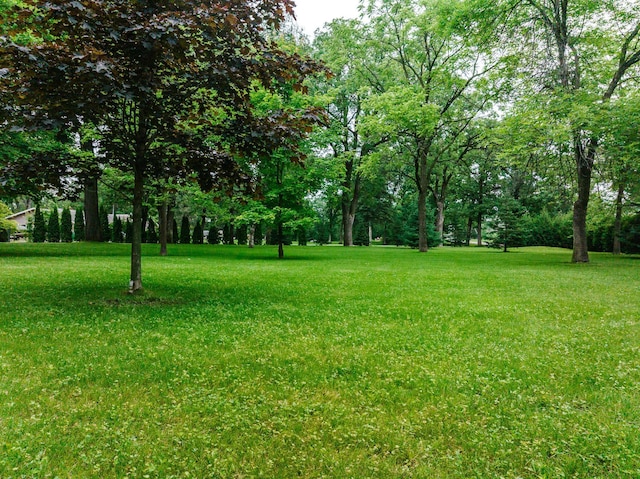 8585 Ilex Pl NW, Rice, MN 56367 - view of grassy yard