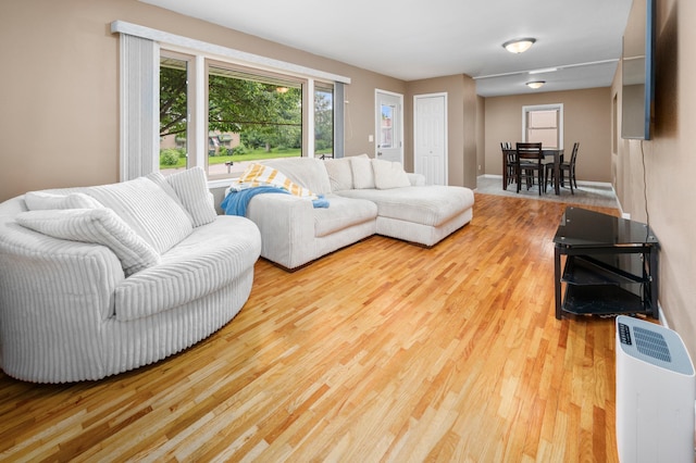 111 4th St N, Grove City, MN 56243 - living area featuring wood finished floors
