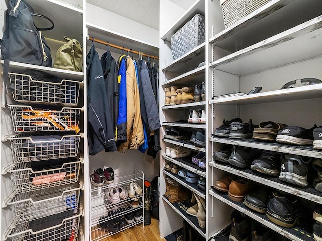 6735 378th St, North Branch, MN 55056 - spacious closet featuring wood finished floors