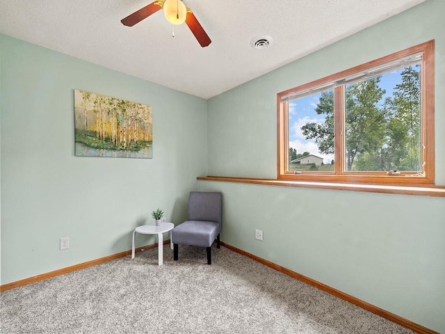 6735 378th St, North Branch, MN 55056 - sitting room with carpet and ceiling fan