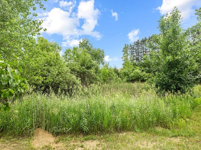 6735 378th St, North Branch, MN 55056 - view of undeveloped land