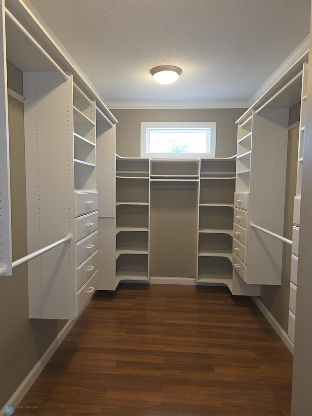 716 Northridge Way W, Fargo, ND 58078 - spacious closet with dark wood finished floors