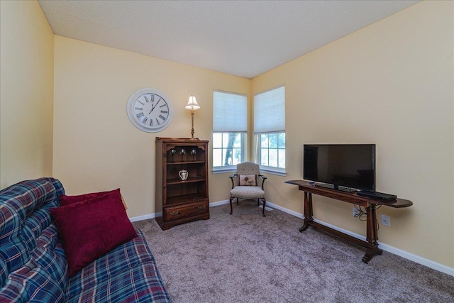 16901 90th Ct N, Maple Grove, MN 55311 - living area featuring carpet floors and baseboards