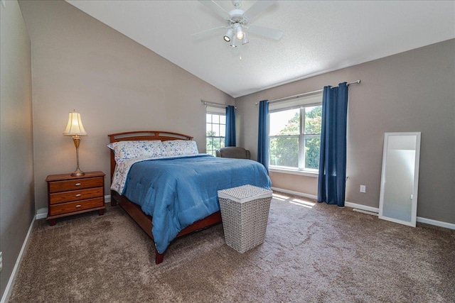 16901 90th Ct N, Maple Grove, MN 55311 - bedroom featuring lofted ceiling, carpet flooring, and a ceiling fan