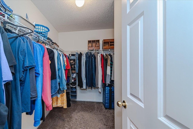 16901 90th Ct N, Maple Grove, MN 55311 - spacious closet featuring carpet