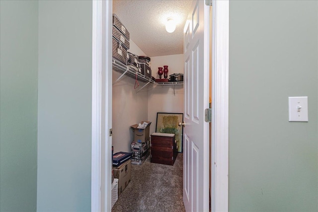 16901 90th Ct N, Maple Grove, MN 55311 - walk in closet featuring carpet