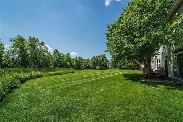 16901 90th Ct N, Maple Grove, MN 55311 - view of grassy yard with a patio