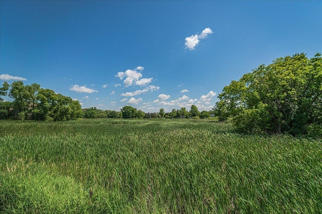 16901 90th Ct N, Maple Grove, MN 55311 - view of undeveloped land