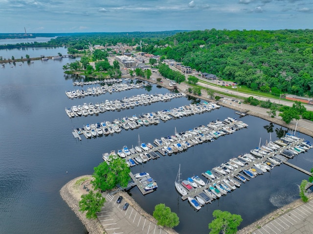 720 1st St Unit 1S, Hudson, WI 54016 - drone / aerial view of numerous boat docks