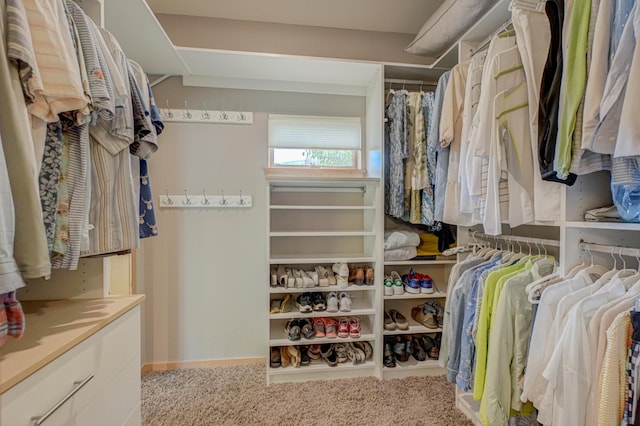 720 1st St Unit 1S, Hudson, WI 54016 - walk in closet featuring carpet