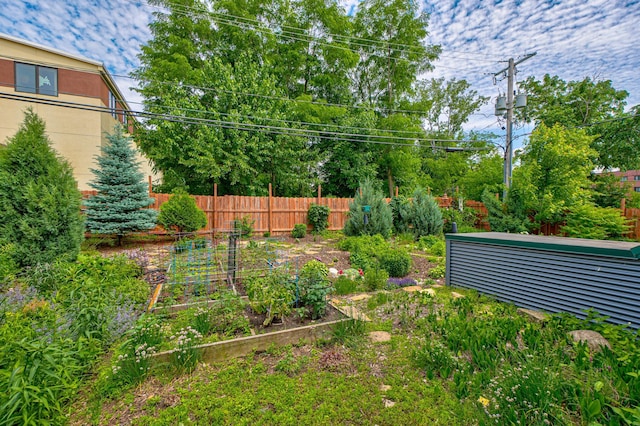 720 1st St Unit 1S, Hudson, WI 54016 - view of yard featuring a vegetable garden