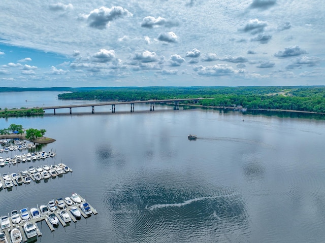 720 1st St Unit 1S, Hudson, WI 54016 - water view featuring a marina