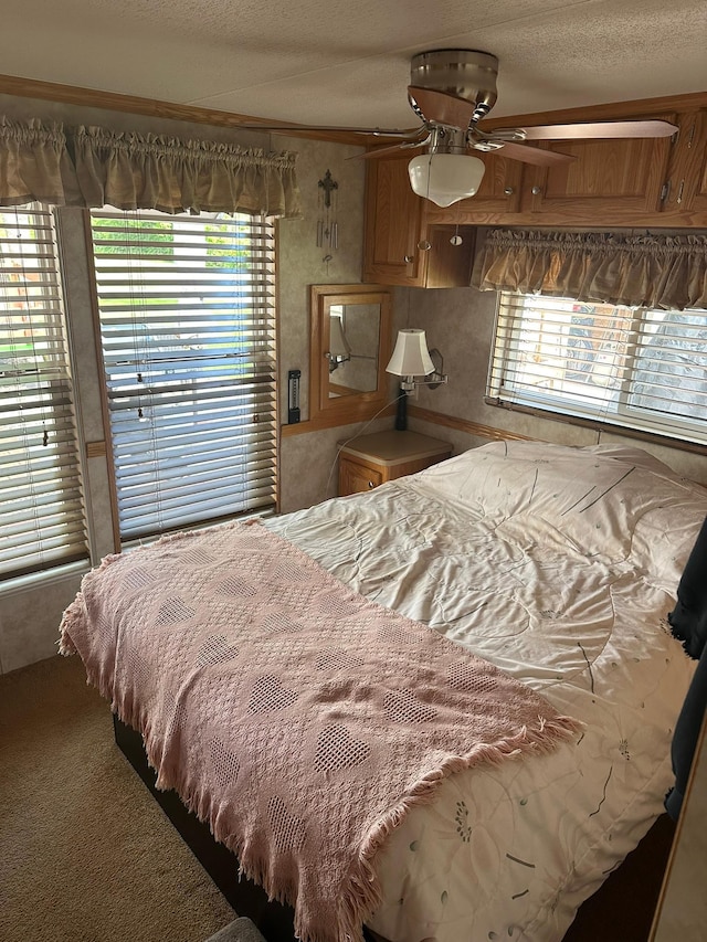25663 Circle Dr, Garrison, MN 56401 - view of carpeted bedroom