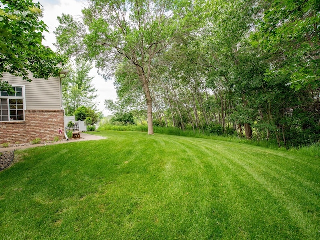 6388 Tahoe Rd, Woodbury, MN 55125 - view of grassy yard