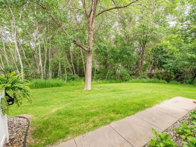 6388 Tahoe Rd, Woodbury, MN 55125 - view of grassy yard with a forest view