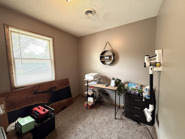 112 Orchard Cir, Montevideo, MN 56265 - office space featuring carpet floors and a textured ceiling