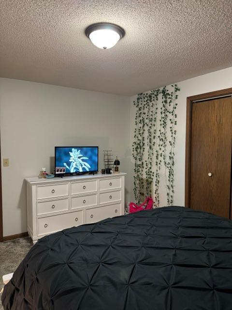112 Orchard Cir, Montevideo, MN 56265 - bedroom with a textured ceiling and carpet floors