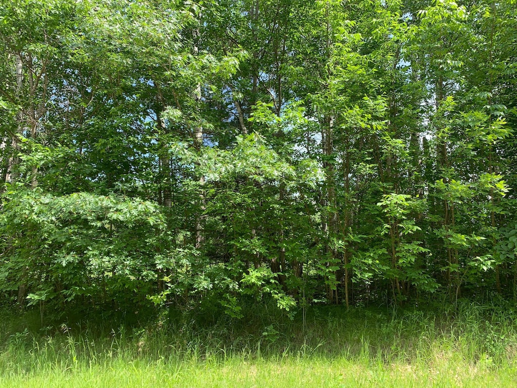 TBD 63rd Ave NW, Walker, MN 56484