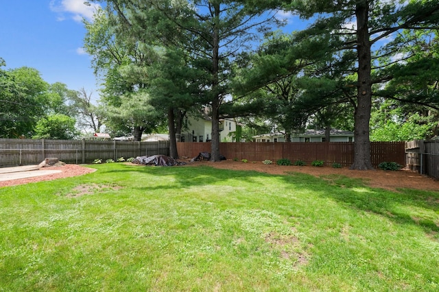 4337 Colorado Ave N, Crystal, MN 55422 - view of fenced backyard
