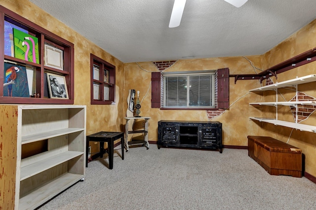 906 Cory Ln, Saint Cloud, MN 56303 - sitting room with carpet flooring and a textured ceiling