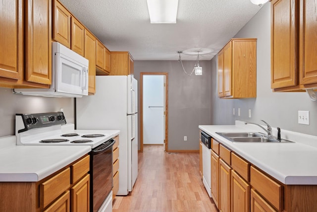 14220 Xenon St NW Unit 6Nw, Ramsey, MN 55303 - kitchen featuring white appliances, light wood finished floors, light countertops, a textured ceiling, and brown cabinetry