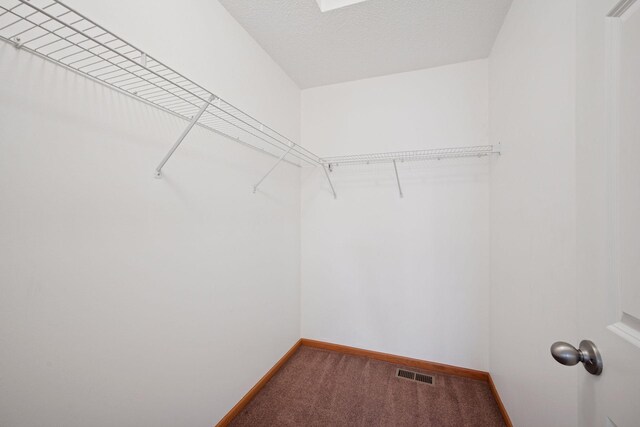 14220 Xenon St NW Unit 6Nw, Ramsey, MN 55303 - spacious closet with carpet
