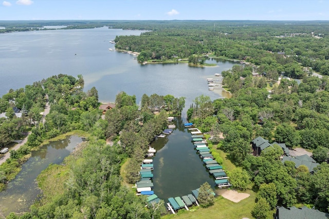 34792 Shore Ln, Crosslake, MN 56442 - aerial view of property's location featuring a large body of water