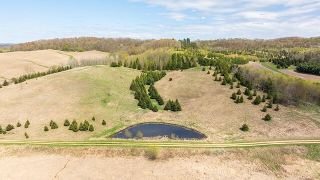 W1349 Hurlburt Rd, Canton, WI 54755