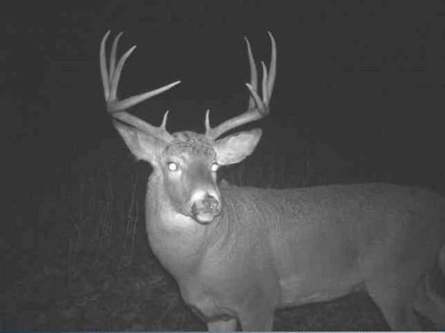 W1349 Hurlburt Rd, Canton, WI 54755