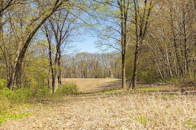 W1349 Hurlburt Rd, Canton, WI 54755