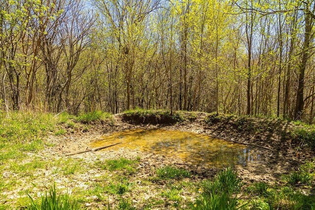 W1349 Hurlburt Rd, Canton, WI 54755