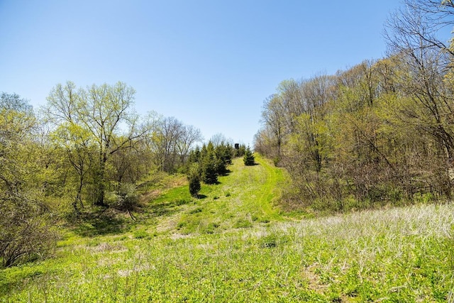 W1349 Hurlburt Rd, Canton, WI 54755