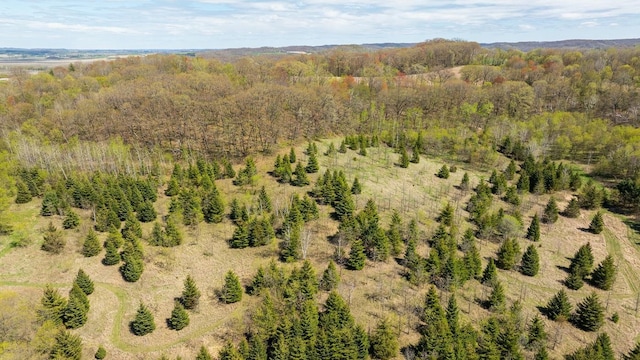 W1349 Hurlburt Rd, Canton, WI 54755