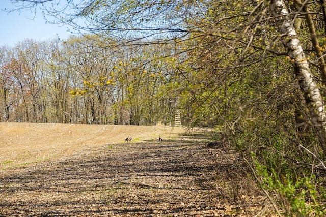 W1349 Hurlburt Rd, Canton, WI 54755