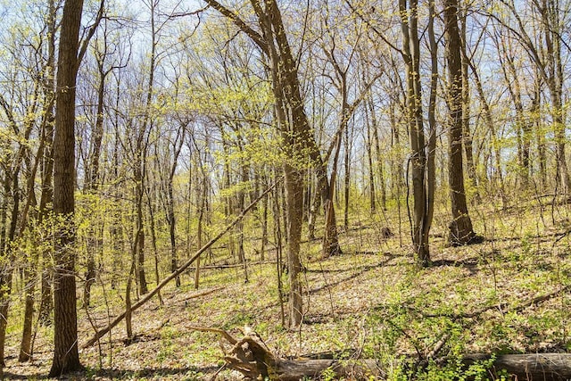 W1349 Hurlburt Rd, Canton, WI 54755