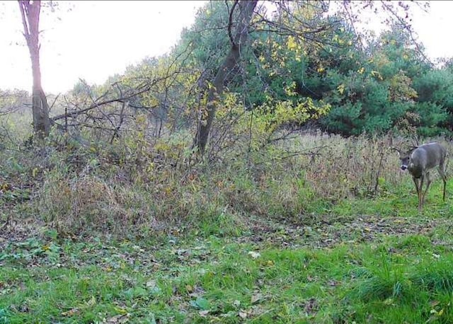 W1349 Hurlburt Rd, Canton, WI 54755