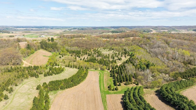 W1349 Hurlburt Rd, Canton, WI 54755