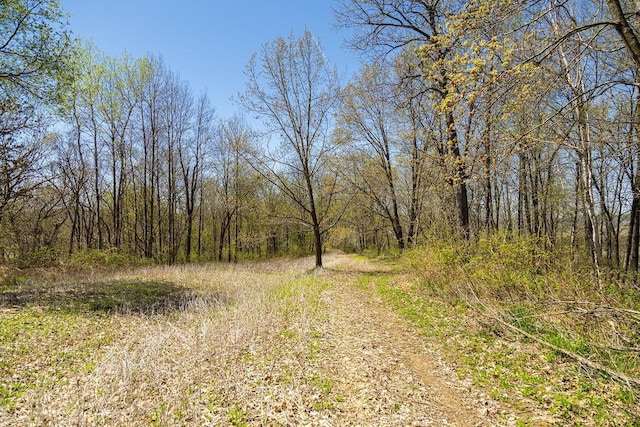 W1349 Hurlburt Rd, Canton, WI 54755