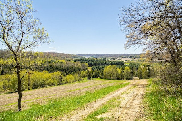 W1349 Hurlburt Rd, Canton, WI 54755