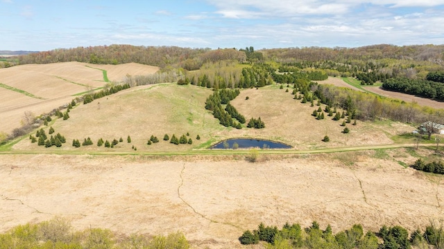W1349 Hurlburt Rd, Canton, WI 54755