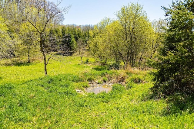 W1349 Hurlburt Rd, Canton, WI 54755