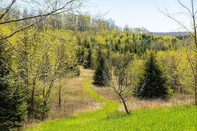 W1349 Hurlburt Rd, Canton, WI 54755