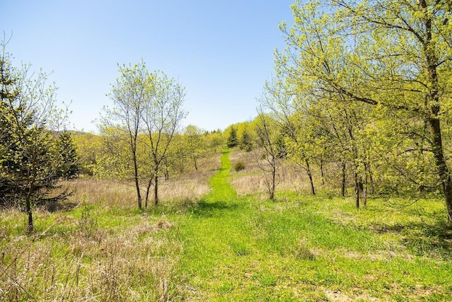 W1349 Hurlburt Rd, Canton, WI 54755