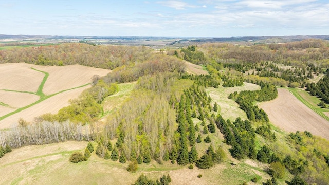 W1349 Hurlburt Rd, Canton, WI 54755